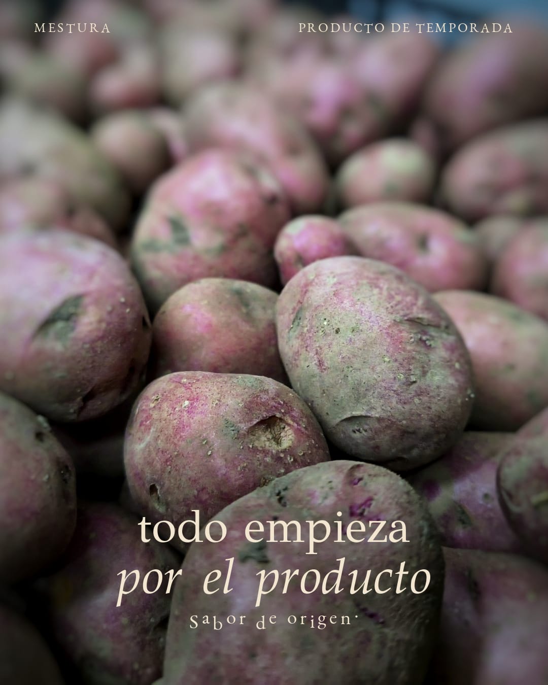 Papas de la tierra