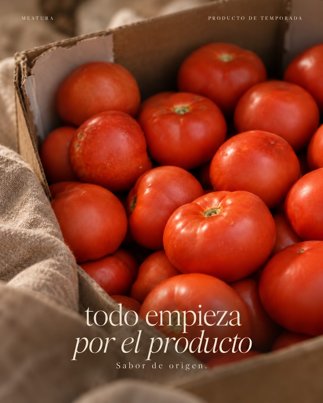 Tomates frescos de La Aldea